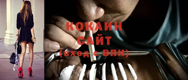 прущие грибы Навашино