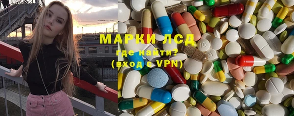прущие грибы Навашино