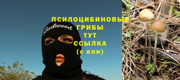 прущие грибы Навашино