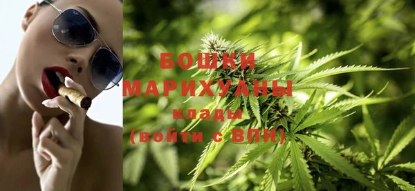 гашик Анива
