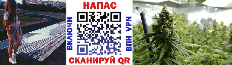 Каннабис Ganja  гидра ТОР  Тайга 